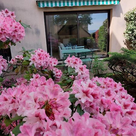 Le DenysPuech 55m2 plein centre avec jardin! Appartement Rodez Buitenkant foto
