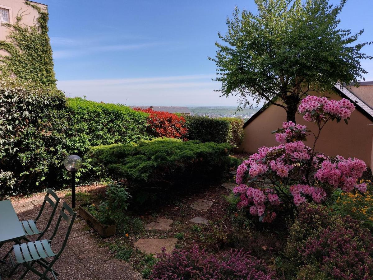 Le DenysPuech 55m2 plein centre avec jardin! Appartement Rodez Buitenkant foto